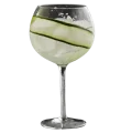 Gin & Tonic - Hendrick´s