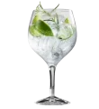 Gin & Tonic - Gordon´s