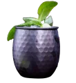 Moscow Mule